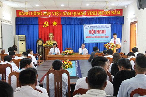 Công ty TNHH Một thành viên Lâm nghiệp Trầm Hương tập trung phát triển lâm nghiệp bền vững