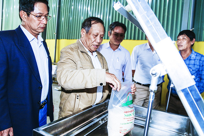 Vacumm packing machine at Ninh Quang agricultural cooperative 1