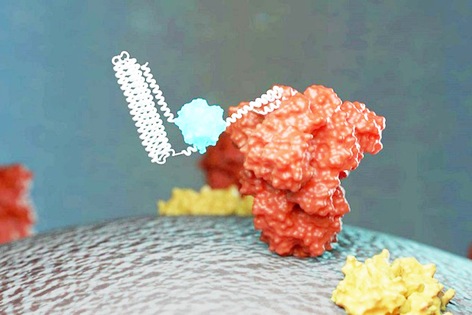 Cảm biến sinh học mới giúp phát hiện nhanh SARS-CoV-2
