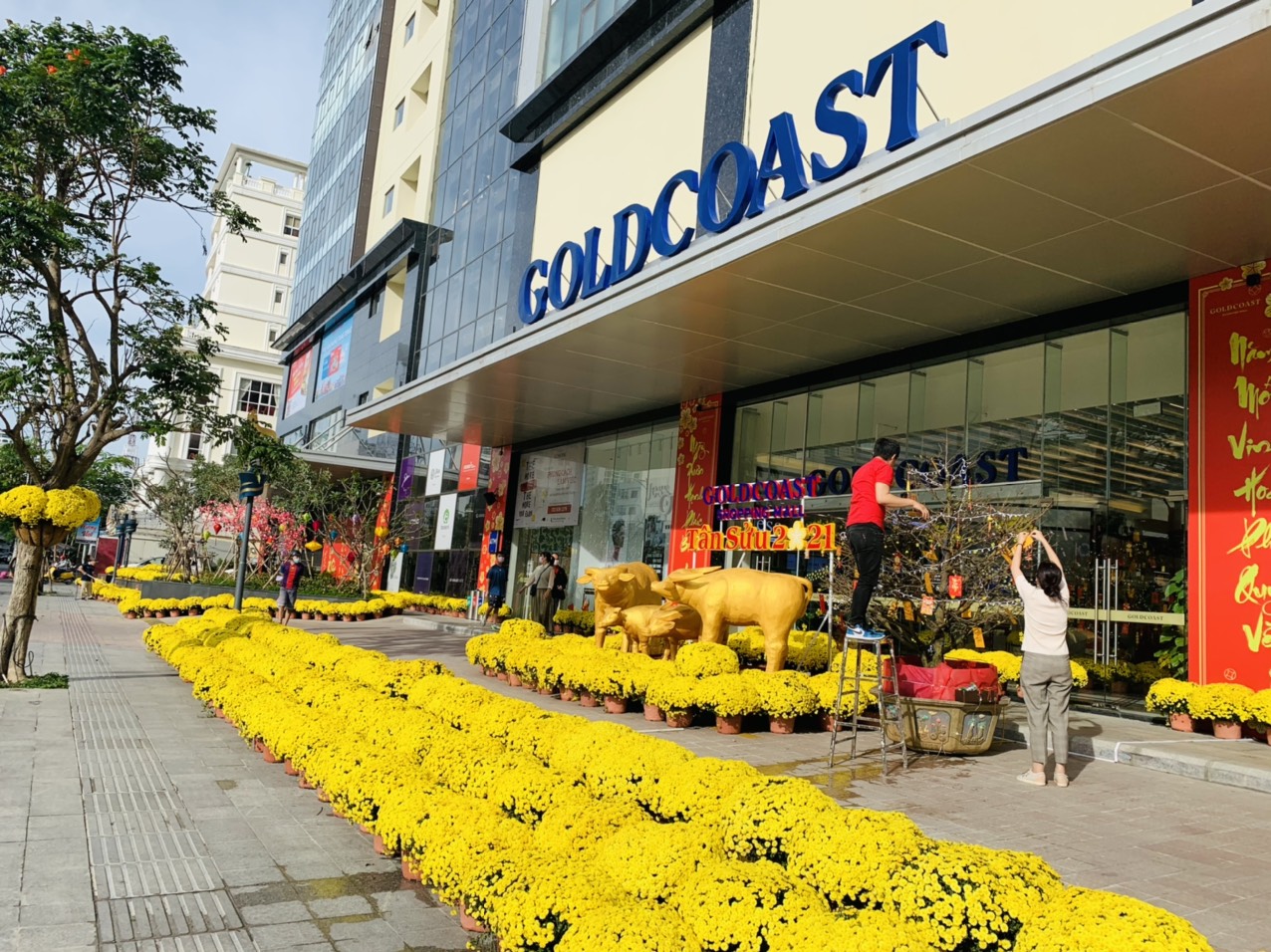 Sắc xuân về phố biển