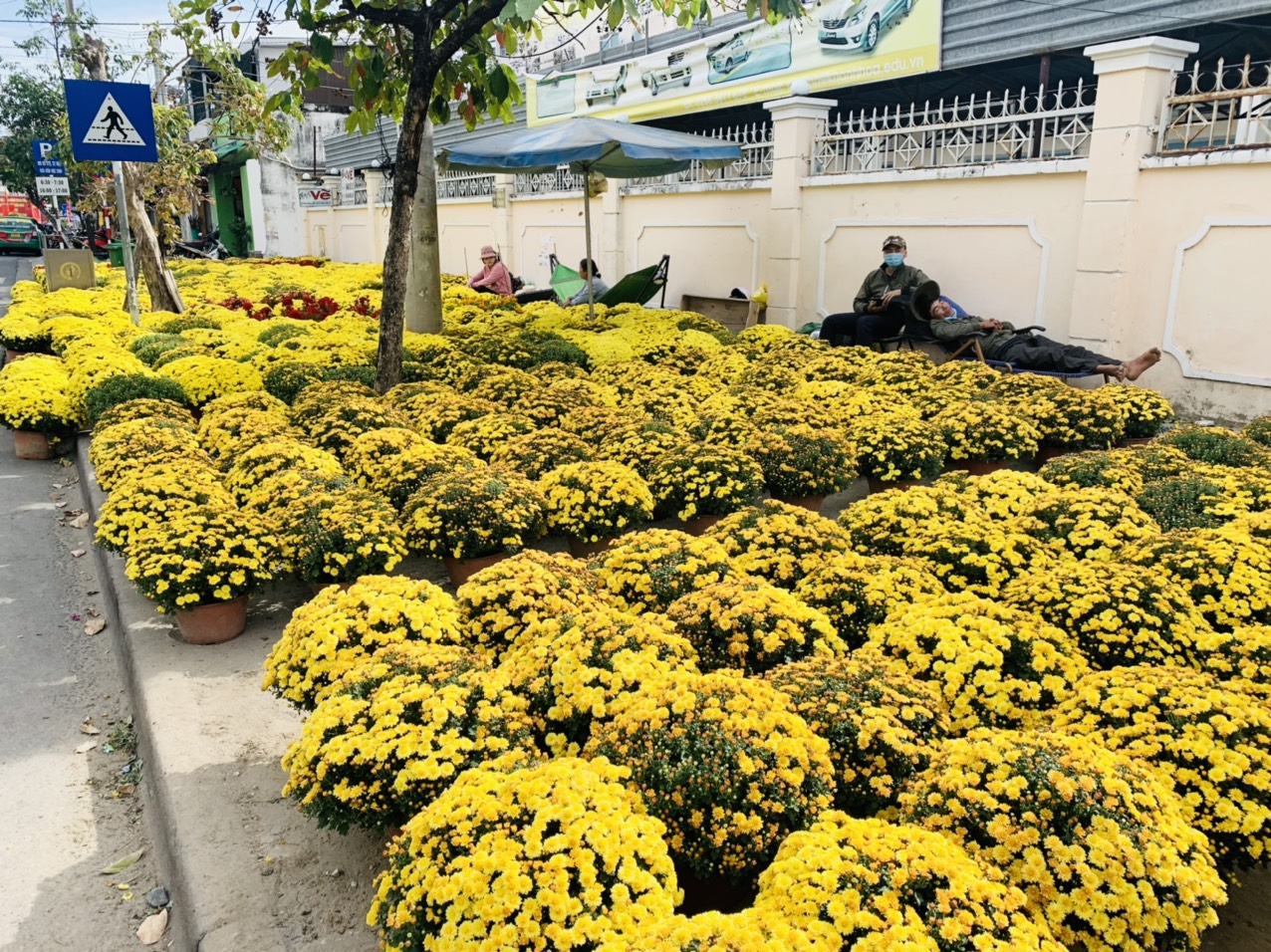 Chrysanthemums for sale on Le Thanh Phuong Street