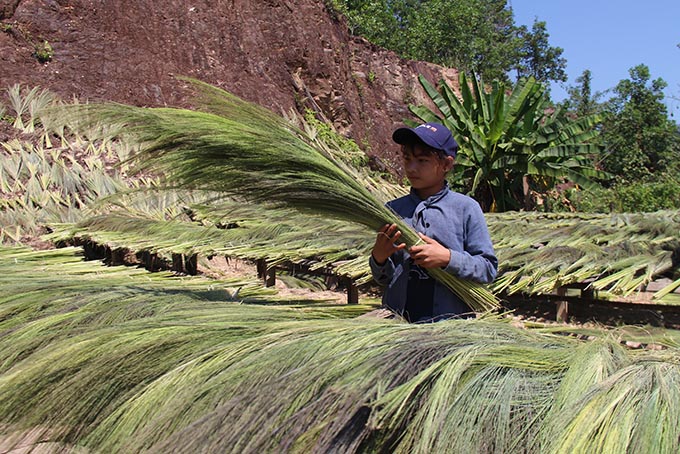 Lộc rừng đầu năm