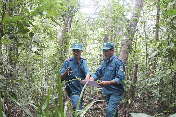 Anh Nguyễn Thanh Đức (bên trái) cùng đồng nghiệp tại Đội Bảo vệ và Phát triển rừng số 2 tuần tra  dọc tuyến giáp ranh với khu vực rừng xã Cư San (huyện M’Đrắk, tỉnh Đắk Lắk).