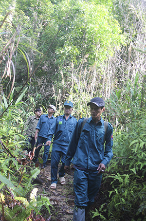 Lực lượng bảo vệ rừng chuyên trách chốt bảo vệ rừng suối La miệt mài tuần rừng.
