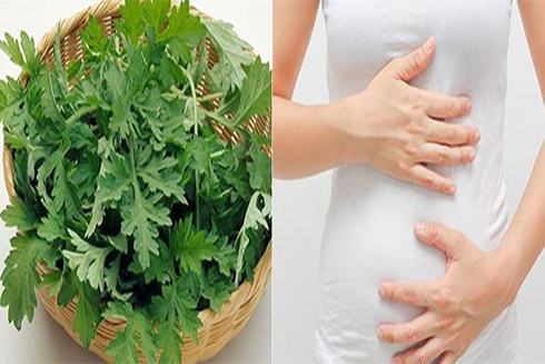 Phụ nữ mang thai 3 tháng đầu không được ăn rau ngải cứu để ngăn ngừa nguy cơ sảy thai. Đồ hoạ: Phương Linh.