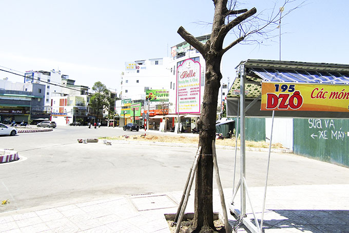 Cần trồng bổ sung cây xanh