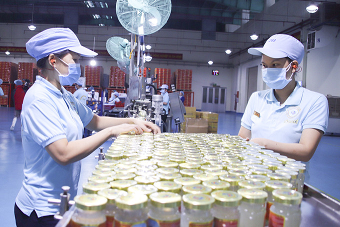Hoạt động sản xuất của Công ty TNHH Nhà nước một thành viên Yến sào Khánh Hòa.