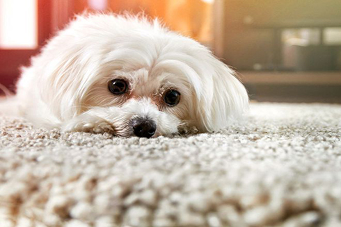 9 nguyên nhân đáng ngạc nhiên gây tổn thương phổi