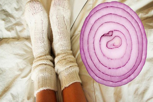 Hành tây có thể hút hết vi khuẩn có hại tấn công cơ thể