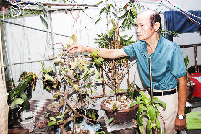 Sửa khách sạn ảnh hưởng nhà bên cạnh: Chưa tìm được tiếng nói chung