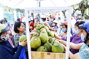 Hội Nông dân tỉnh: Hỗ trợ tiêu thụ bưởi da xanh Khánh Vĩnh