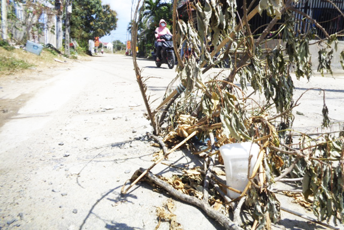 Hố trên đường