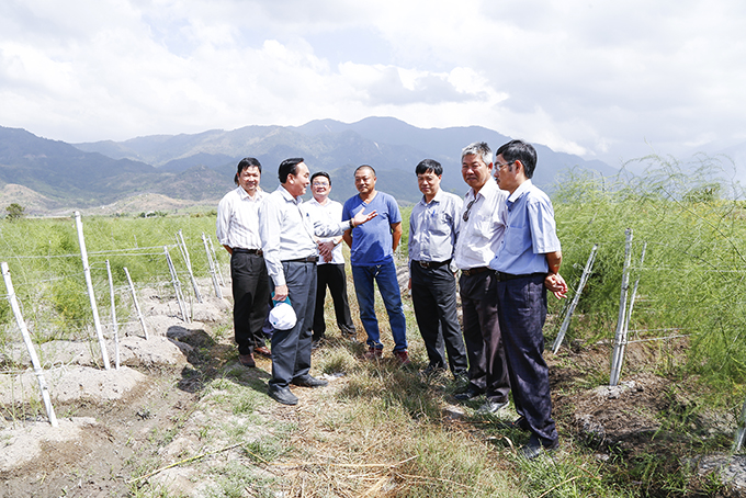 Khảo sát mô hình nông nghiệp tại Ninh Hòa