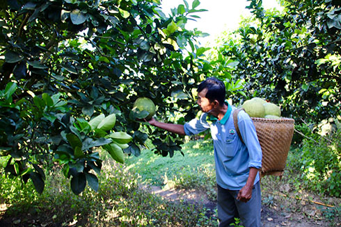 Khánh Vĩnh ra mắt điểm hỗ trợ tiêu thụ nông sản