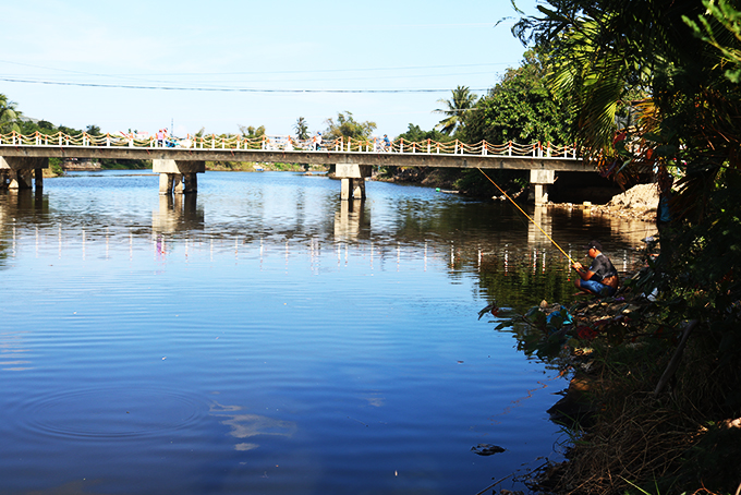 Sứa xuất hiện tại cầu Bè, xã Vĩnh Thạnh.