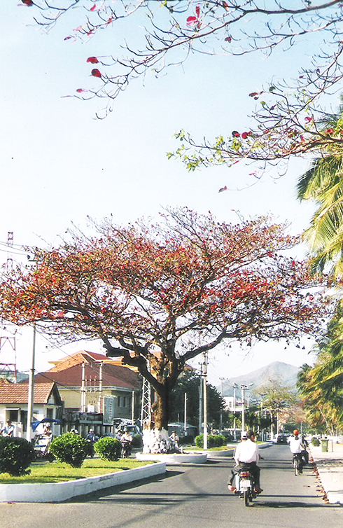 Chuyện tên đường ở Nha Trang