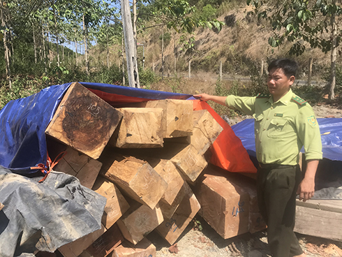 Phát hiện hơn 5,56m3 gỗ xẻ cất giấu tại khu vực Cây Gòn