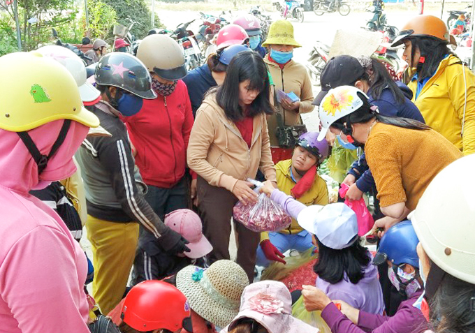 Người tiêu dùng Ninh Hòa chung tay hỗ trợ nông dân trồng tỏi.
