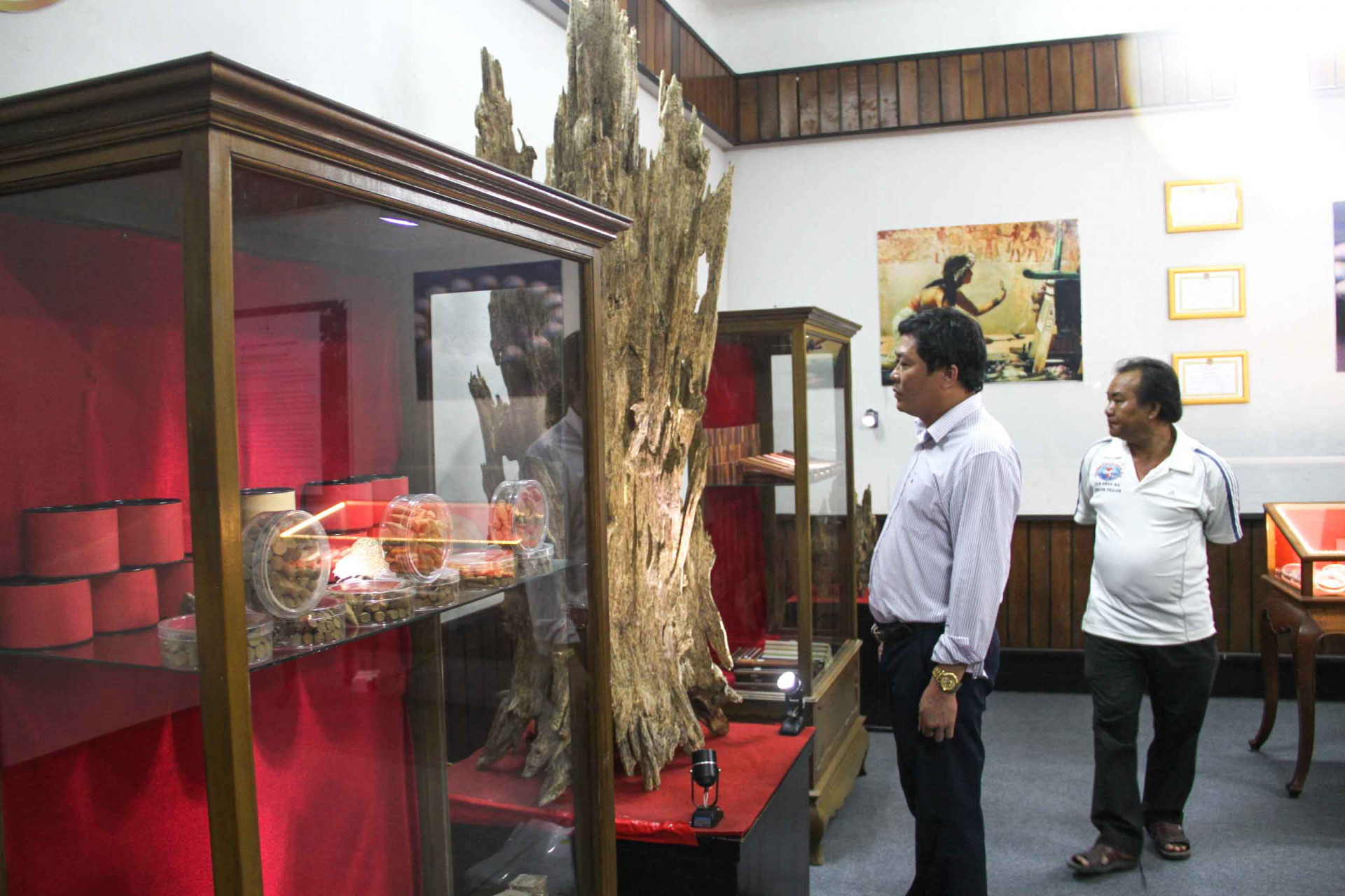 Trưng bày sản phẩm Trầm hương tại Bảo tàng tỉnh Khánh Hòa. Ảnh minh họa.