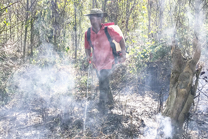 Vụ cháy rừng trồng ở xã Ninh Xuân, thị xã Ninh Hòa của Ban Quản lý rừng phòng hộ  Bắc Khánh Hòa năm 2020.   