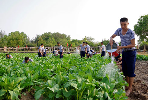 Cán bộ, chiến sĩ tăng gia sản xuất