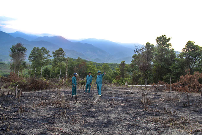 Chiếm đất rừng ở Khánh Thượng