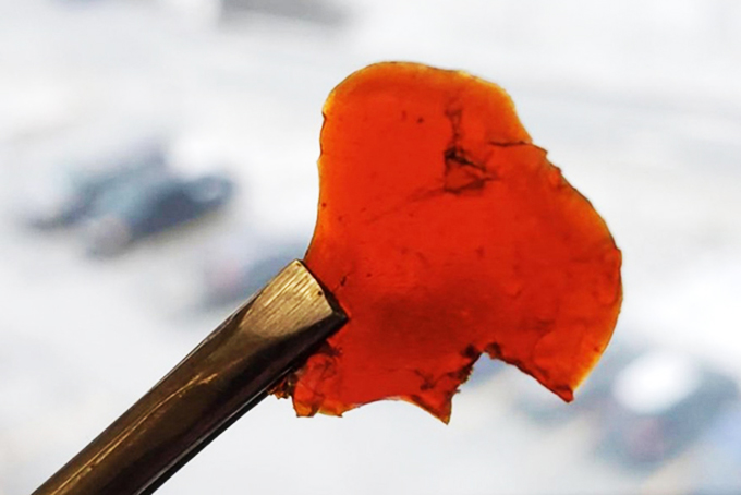 Biến phế phẩm cá thành nhựa sinh học