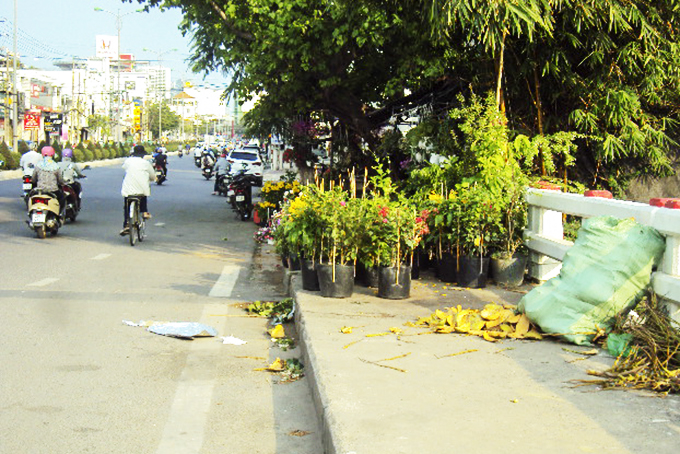 Buôn bán cây cảnh chiếm hành lang cầu
