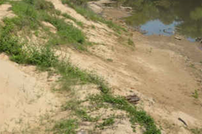 Xử lý nhiều trường hợp khai thác cát trái phép