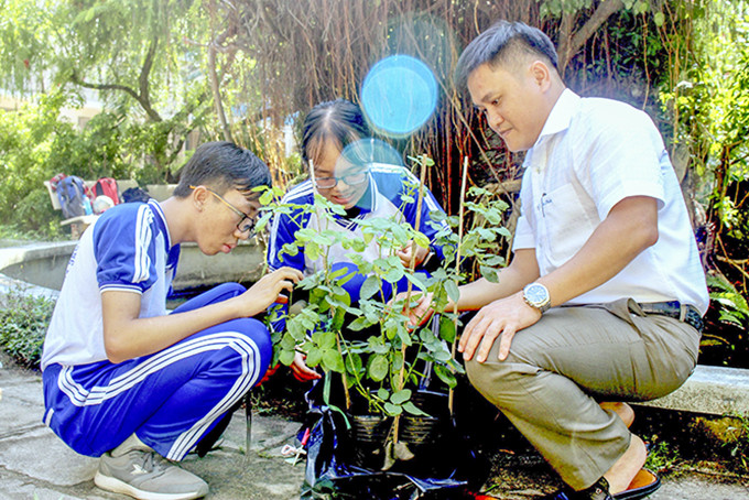 Thầy giáo hướng dẫn cùng Thái và Ngân nghiên cứu cây hoa hồng.