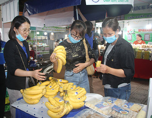 South-America organic bananas grown in Cam Lam District