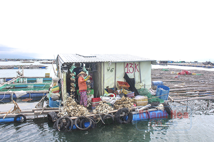 Ngổn ngang một vùng biển