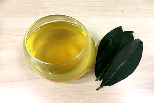 Những sai lầm khiến trà trở thành không tốt cho sức khỏe