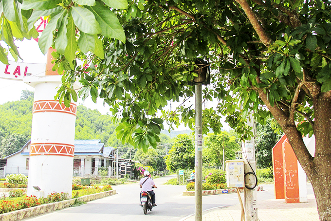 Biển báo, đèn tín hiệu giao thông bị tán cây che khuất