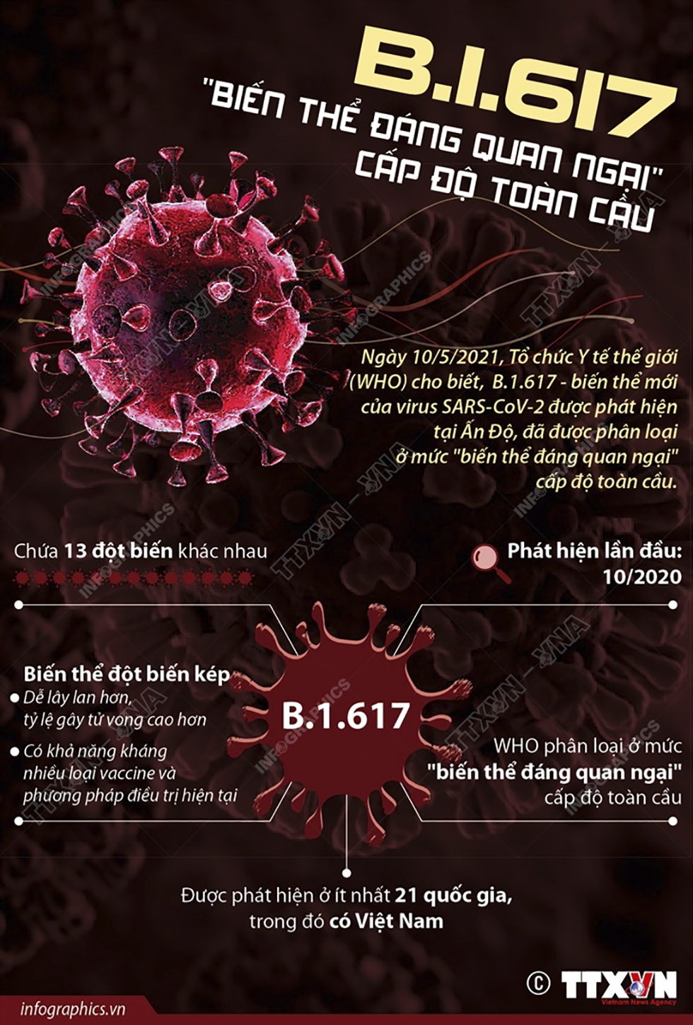 B.1.617 là &quot;biến thể đáng quan ngại&quot; cấp độ toàn cầu