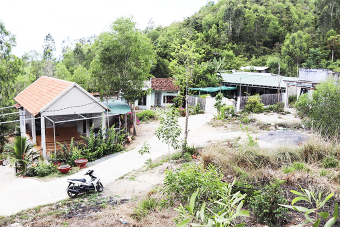 Các căn nhà cấp 4 xây dựng trái phép trên đất rừng sản xuất  tại phường Ninh Hiệp.