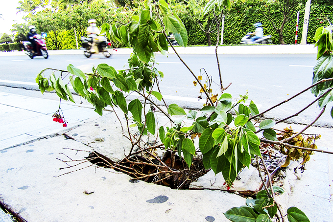 Cần đậy nắp hố ga, nắp chắn rác