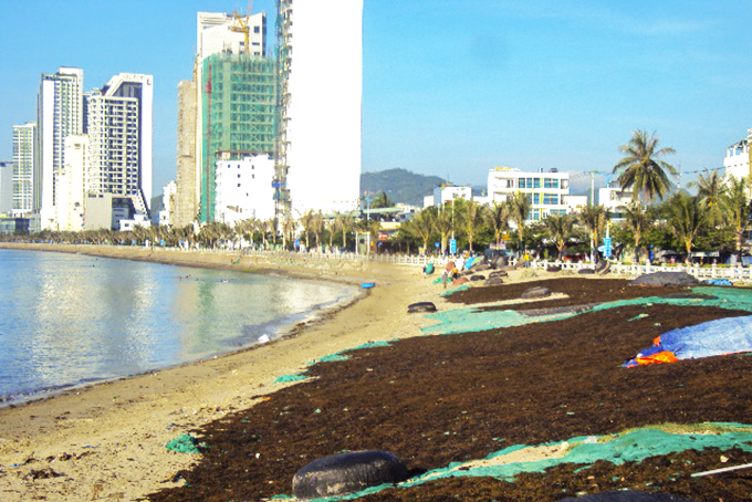 Nhếch nhác bãi biển