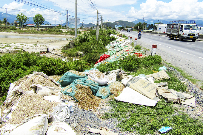 Vứt bừa bãi vỏ sò, ốc, hến ra hành lang quốc lộ