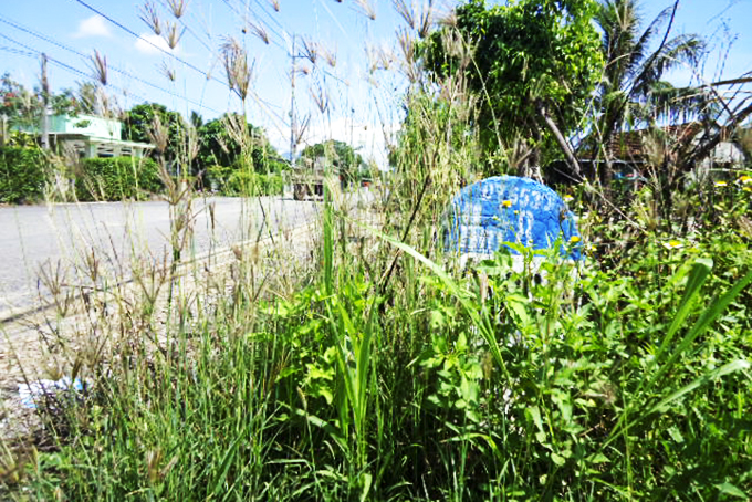 Cần làm rõ cột mốc cây số