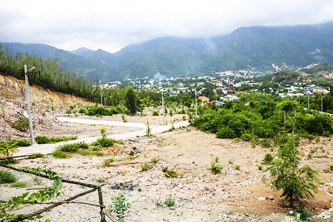 Cả quả đồi đất rừng sản xuất ở thôn Phước Hạ do ông Phán san ủi, phân lô, sau đó bị thu hồi.
