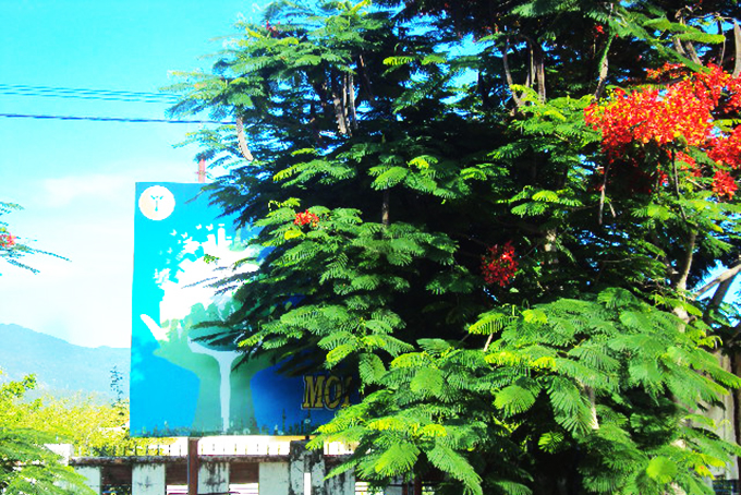 Bảng tuyên truyền bị che khuất