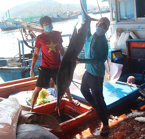 Ngư dân cập cảng tại Khánh Hòa cần tuân thủ các quy định về phòng chống dịch Covid-19