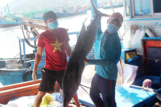 Fishing vessels docking at Khanh Hoa’s ports must obey COVID-19 regulations 