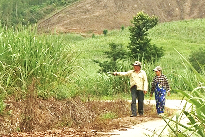 Vượt qua nỗi đau da cam