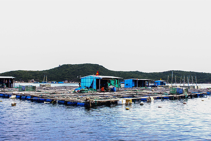 Lồng bè nuôi trồng thủy sản trên biển ở huyện Vạn Ninh.