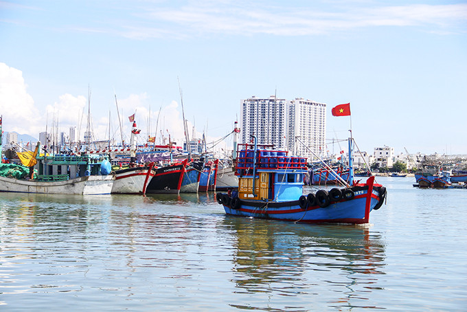 Hoạt động ra khơi, đánh bắt thủy sản tại cảng Hòn Rớ, TP. Nha Trang.  (Ảnh minh họa: B.La)