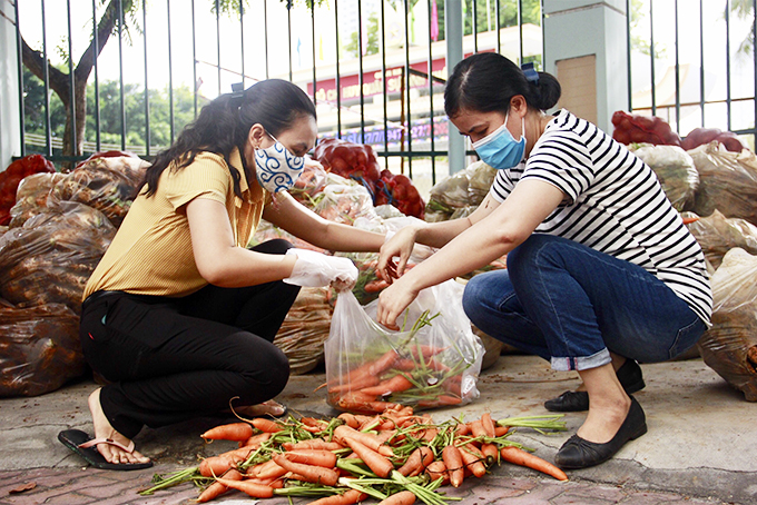 Chị em phân loại  rau, củ để phân bổ cho các lực lượng   (Ảnh T.T)