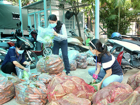 Các lực lượng phân loai rau để trao cho người dân