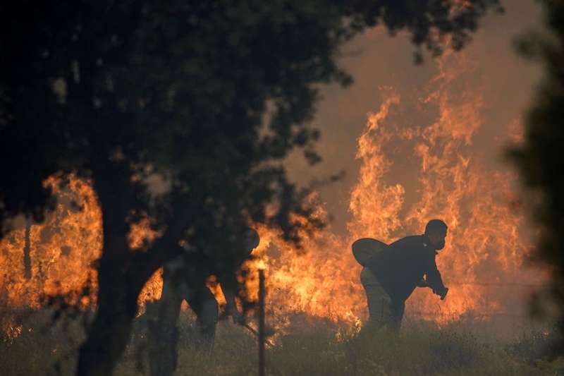 Tình nguyện viên tham gia dập lửa tại làng Navalmoral, Tây Ban Nha, ngày 16/8. (Ảnh: Reuters)